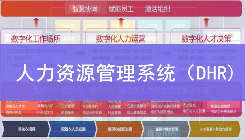 人力資源組織管理系統（DHR）